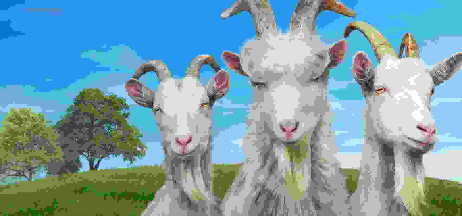 Imagem de fundo do produto Goat Simulator 3 - PS5