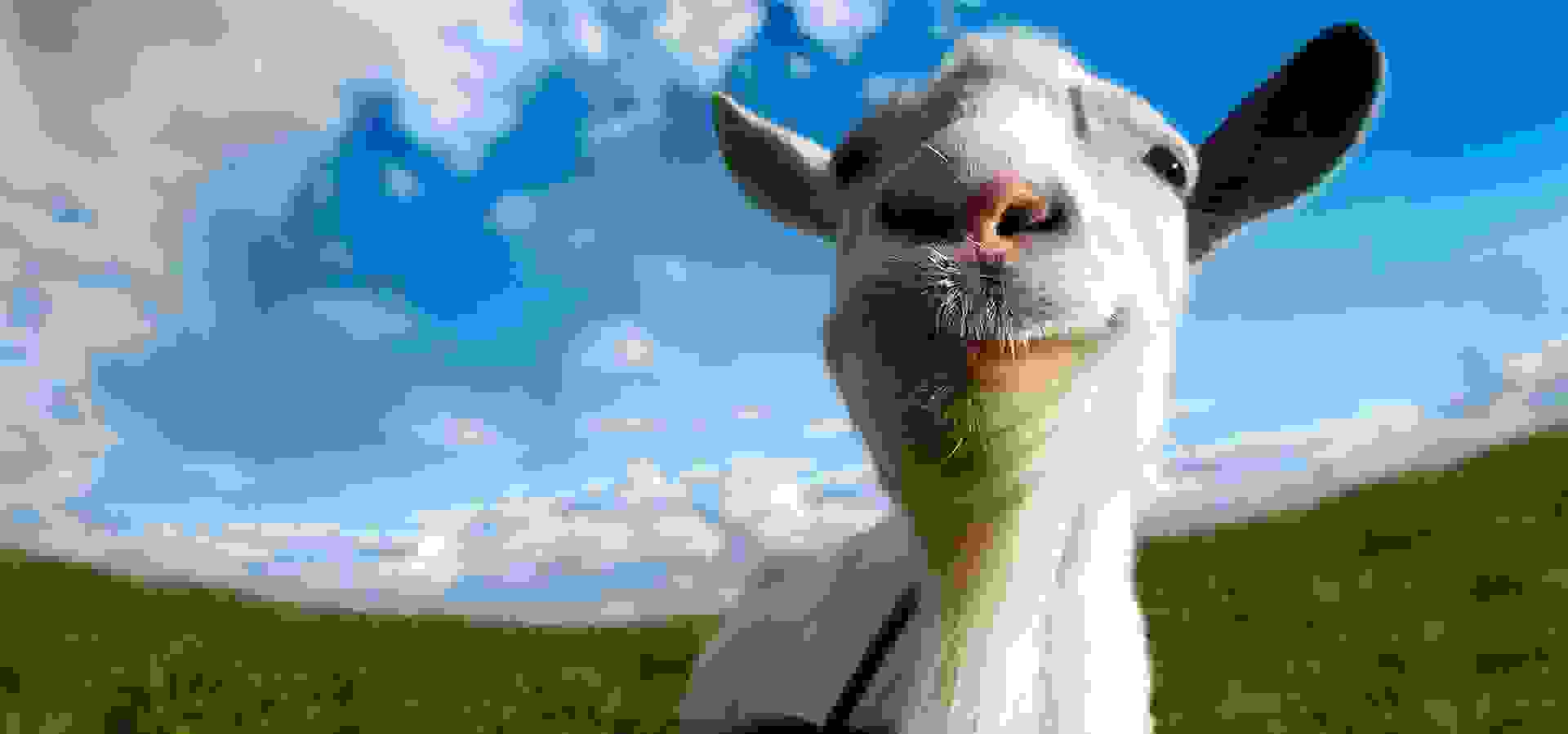 Imagem de fundo do produto Goat Simulator - PS4