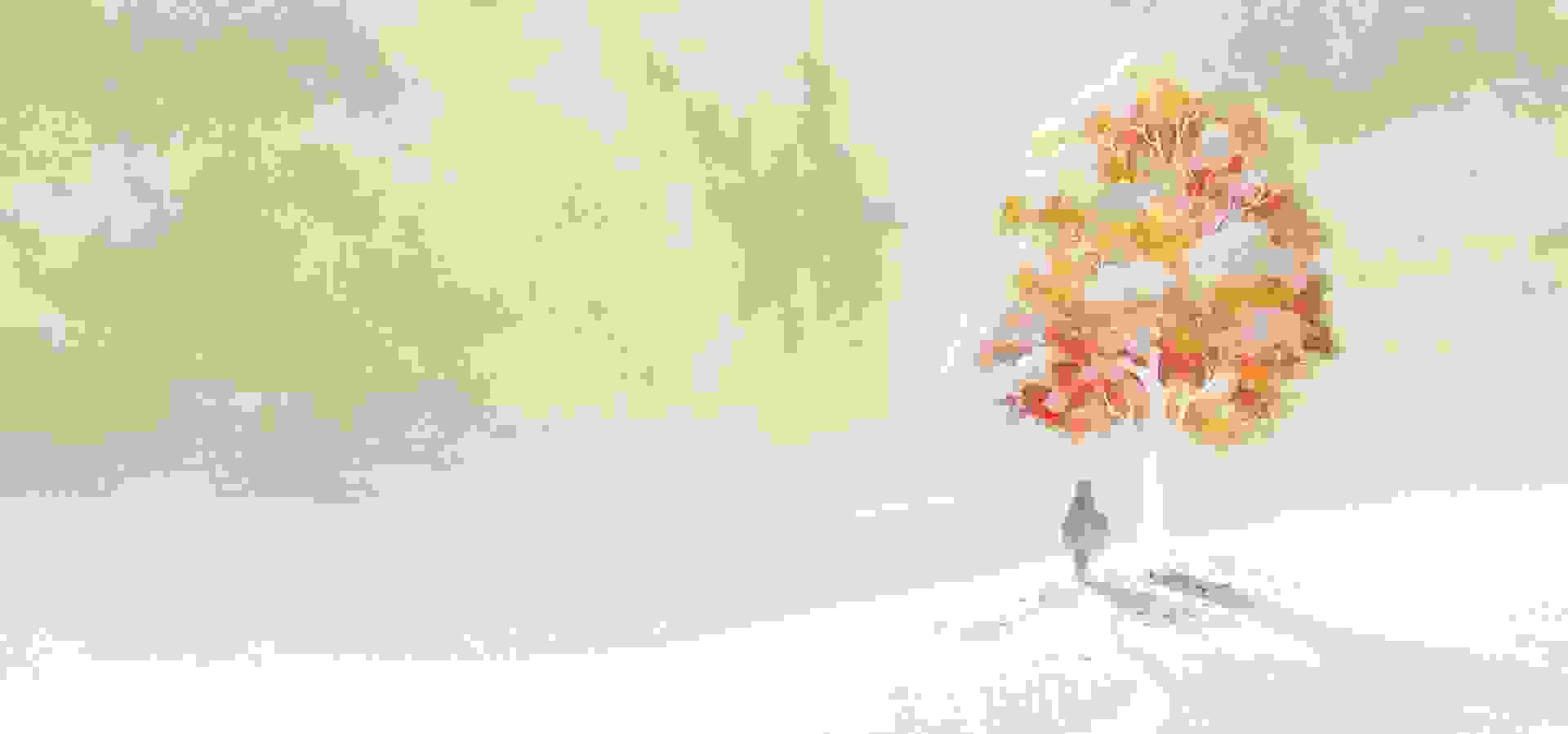 Imagem de fundo do produto I Am Setsuna Switch - Físico