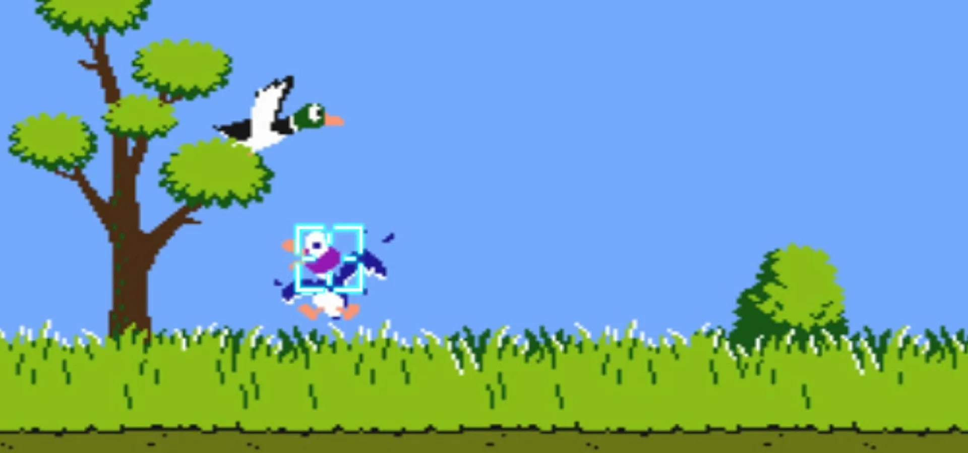 Imagem de fundo do produto Duck Hunt - Family Computer