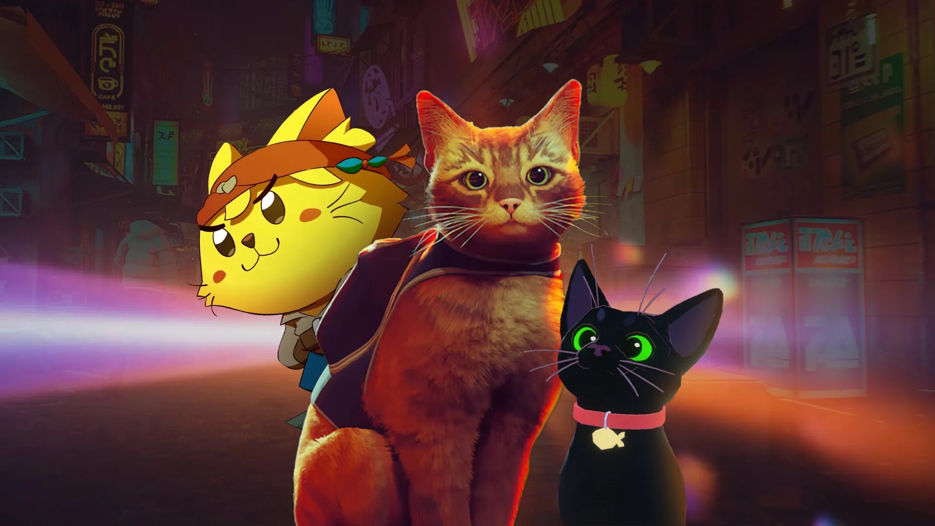 Imagem de fundo do produto Conheça esses jogos para quem ama gatinhos!