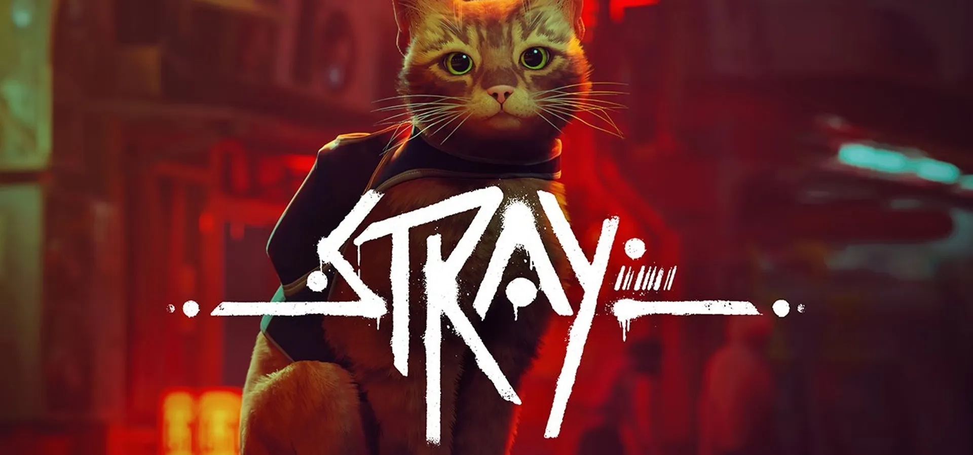Imagem de fundo do produto Stray - PS4 & PS5