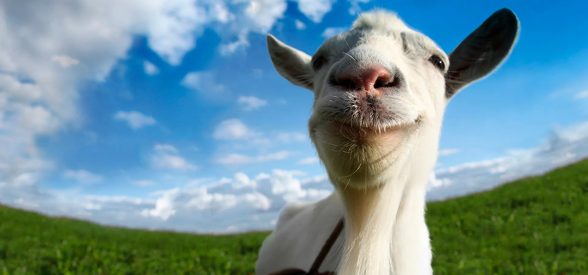 Imagem de fundo do produto Goat Simulator - PS4