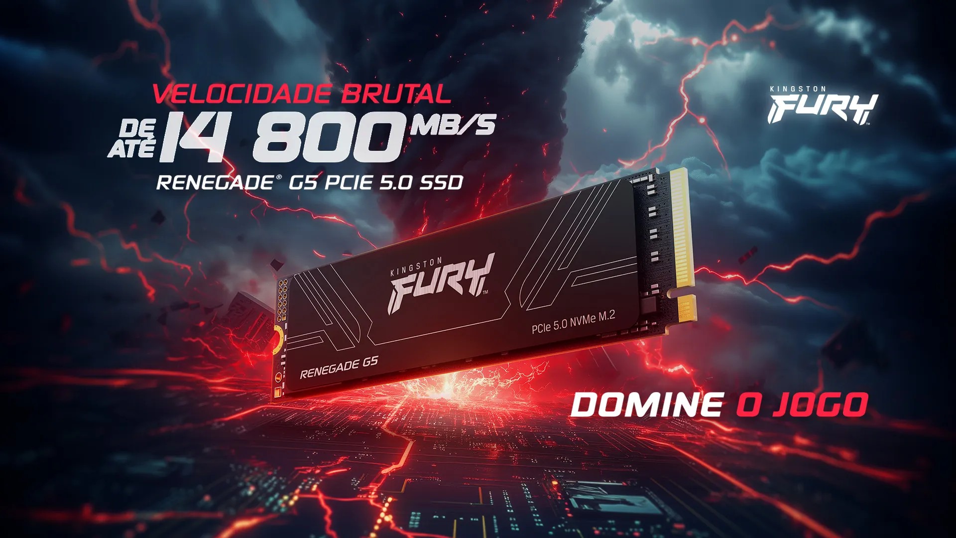 SSD Kingston FURY Renegade G5